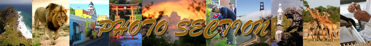 photobanner